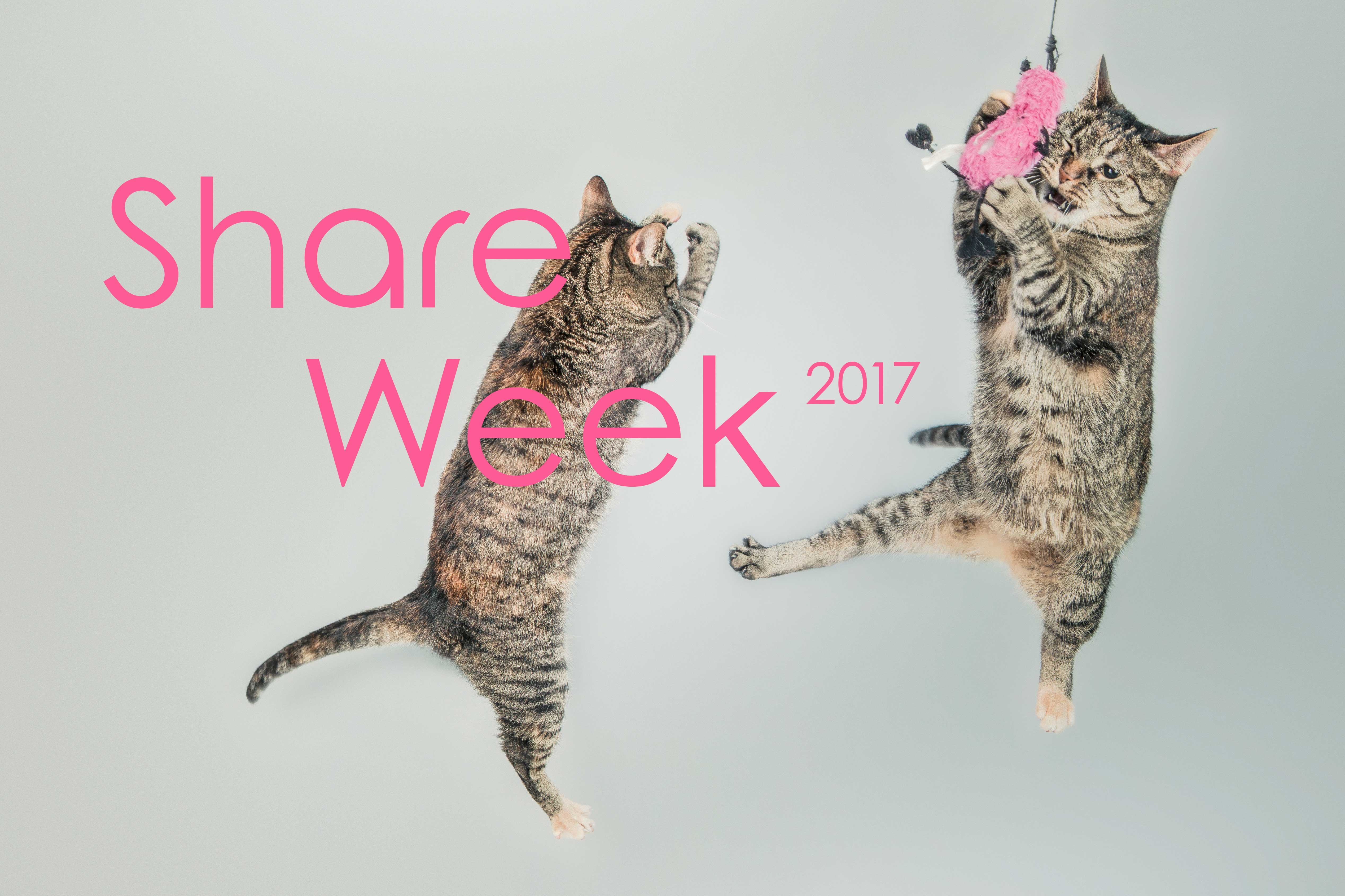 shareweek